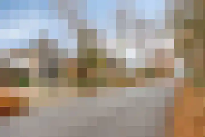 Tolschestraat 11 a Velp thumbnail 47