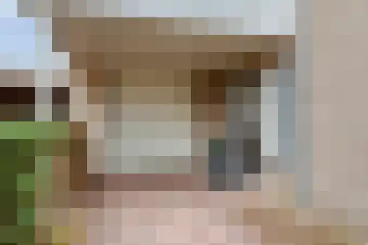 Tolschestraat 11 a Velp thumbnail 48
