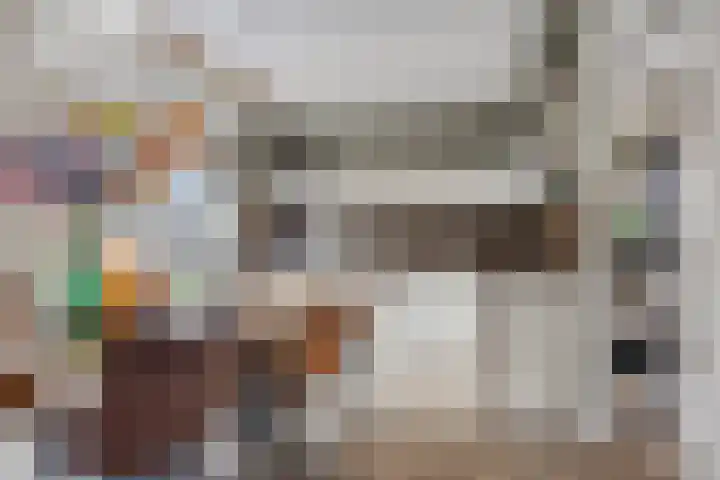 Tolschestraat 11 a Velp thumbnail 5