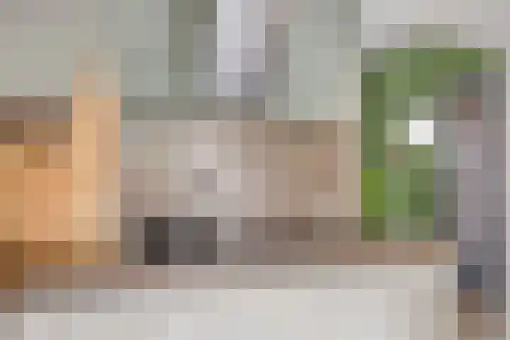 Tolschestraat 11 a Velp thumbnail 7