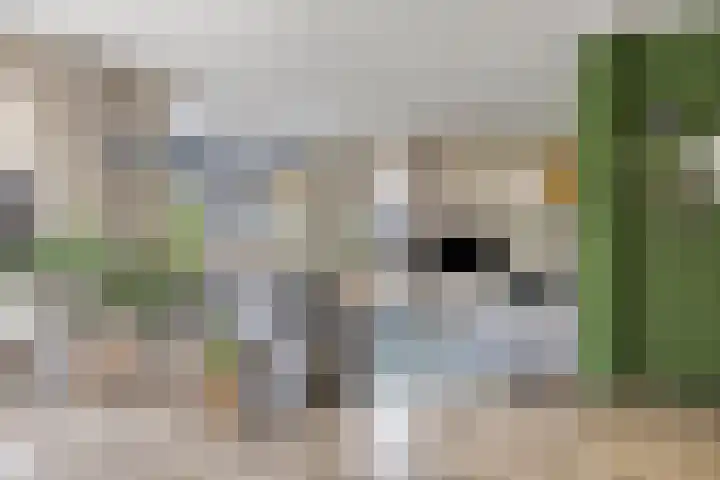 Tolschestraat 11 a Velp thumbnail 9