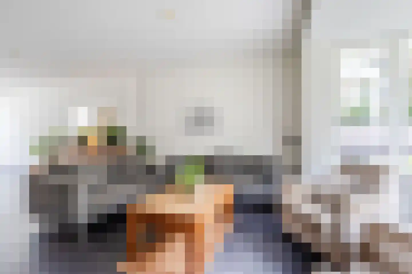 Tolschestraat 13 a Velp thumbnail 10