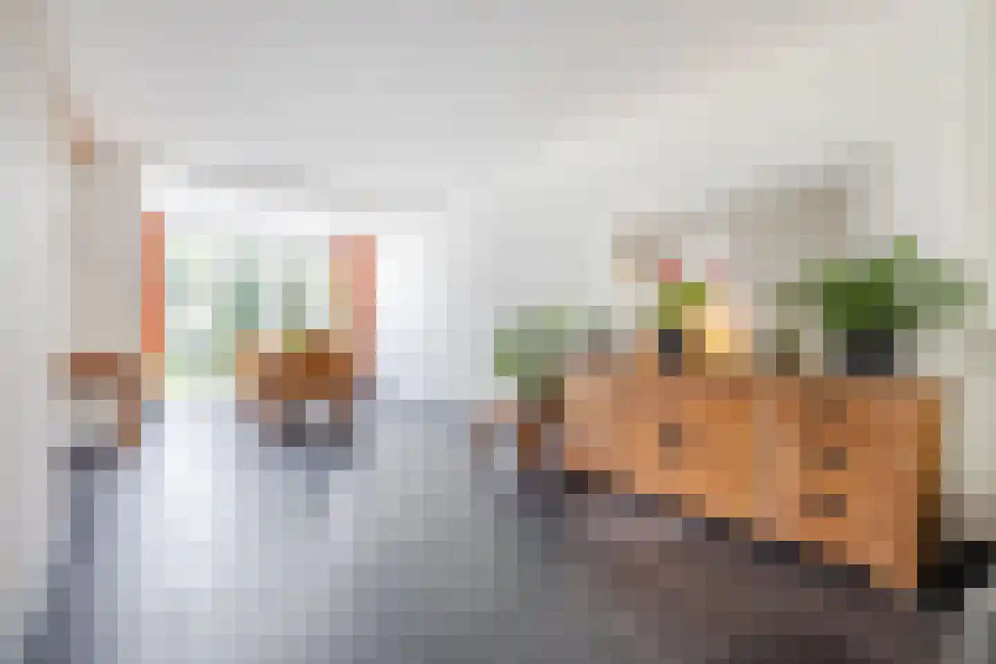 Tolschestraat 13 a Velp thumbnail 14