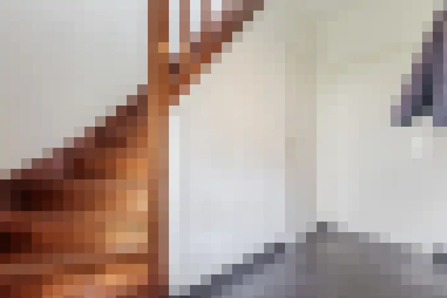 Tolschestraat 13 a Velp thumbnail 21