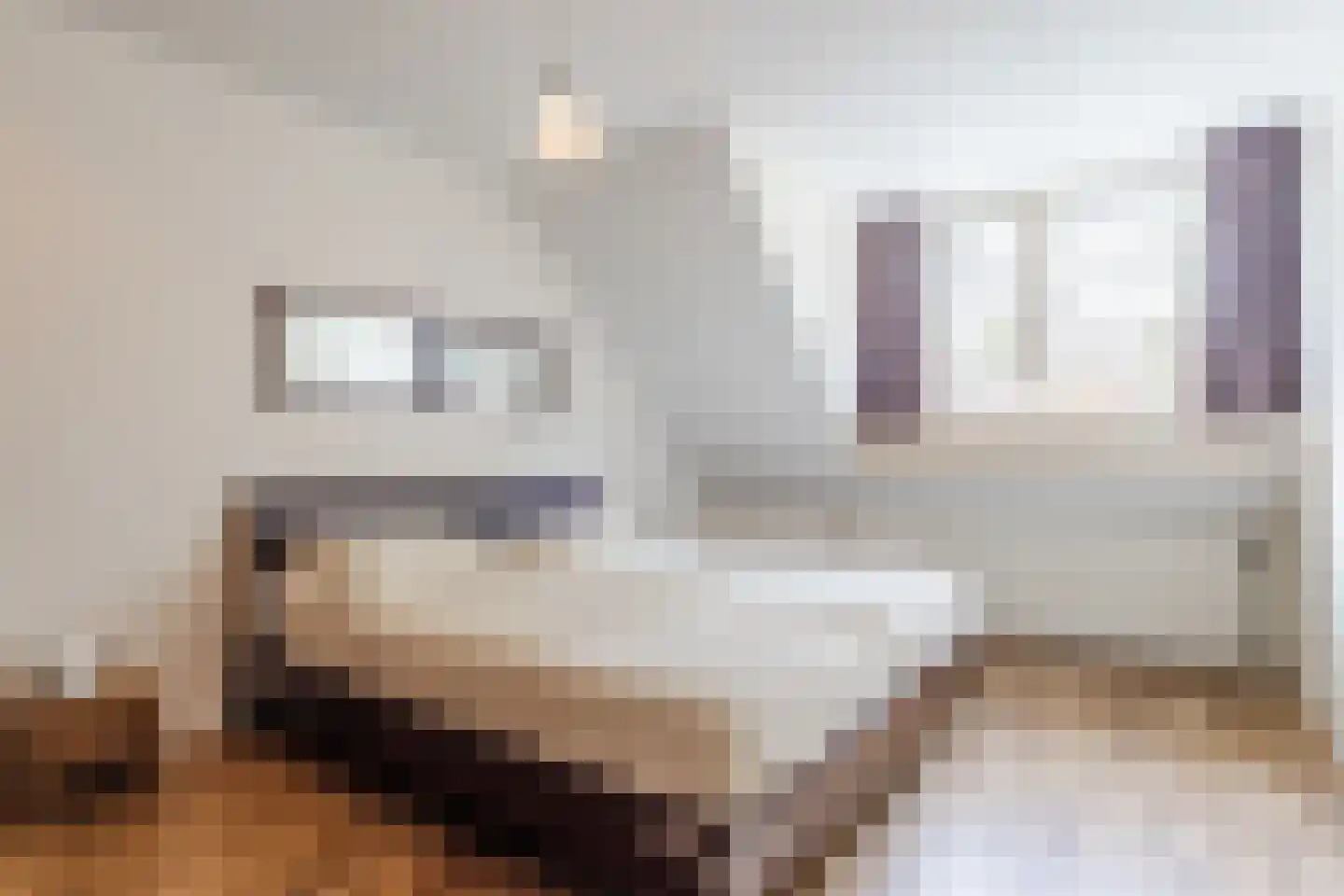Tolschestraat 13 a Velp thumbnail 22