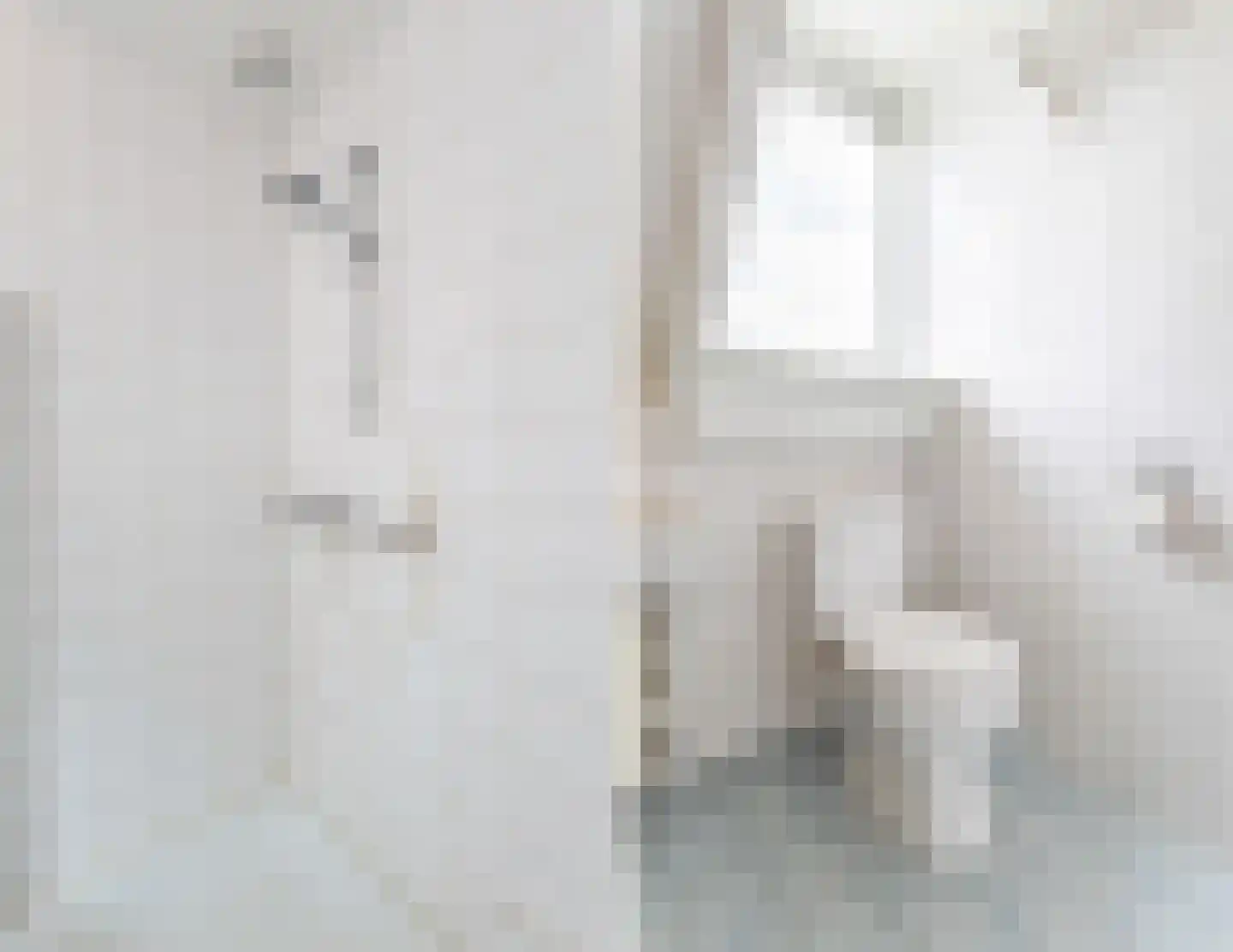 Tolschestraat 13 a Velp thumbnail 29