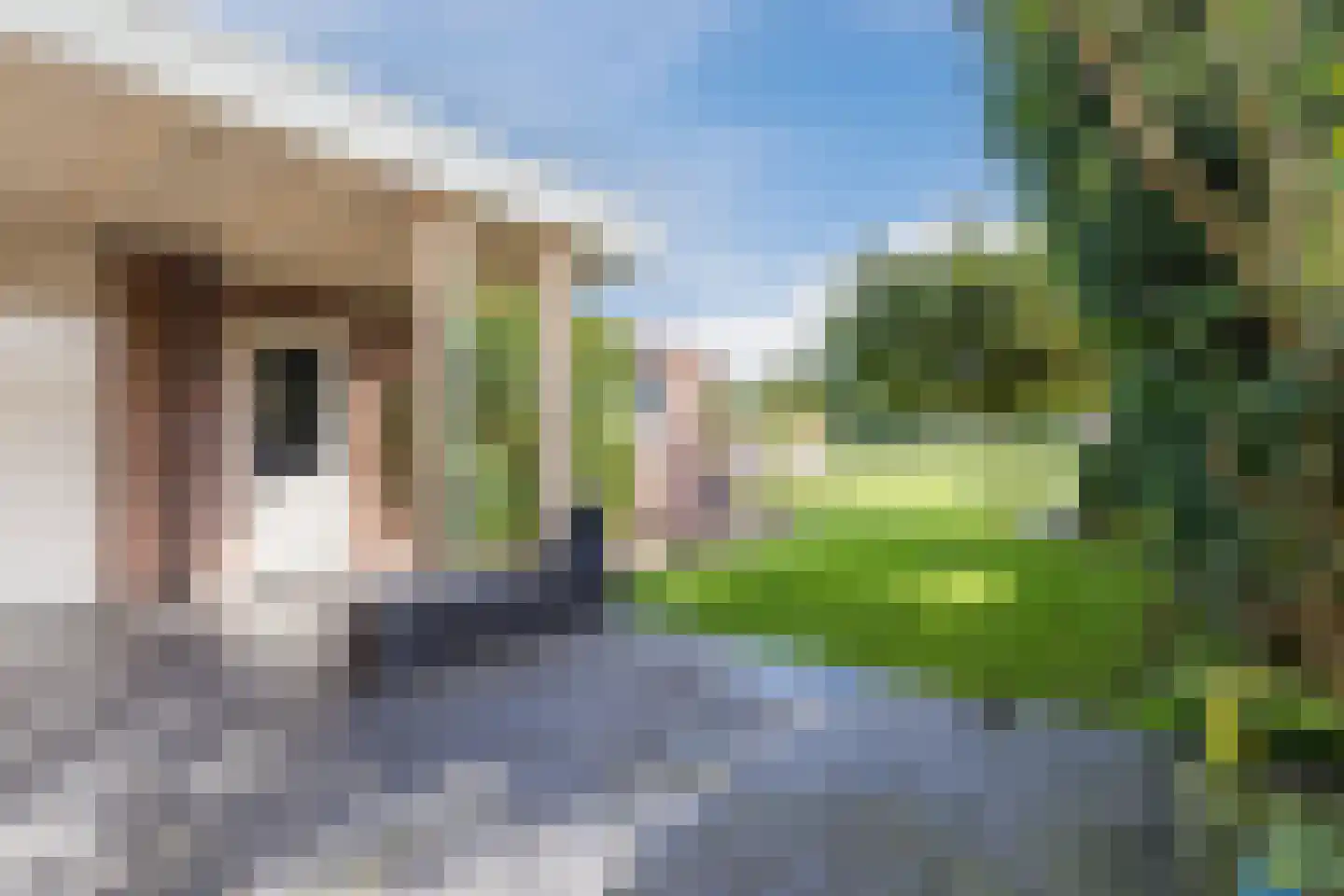 Tolschestraat 13 a Velp thumbnail 34