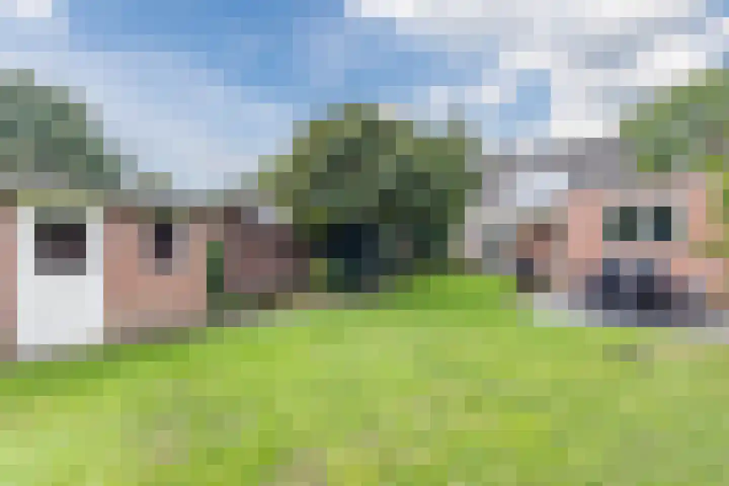 Tolschestraat 13 a Velp thumbnail 36