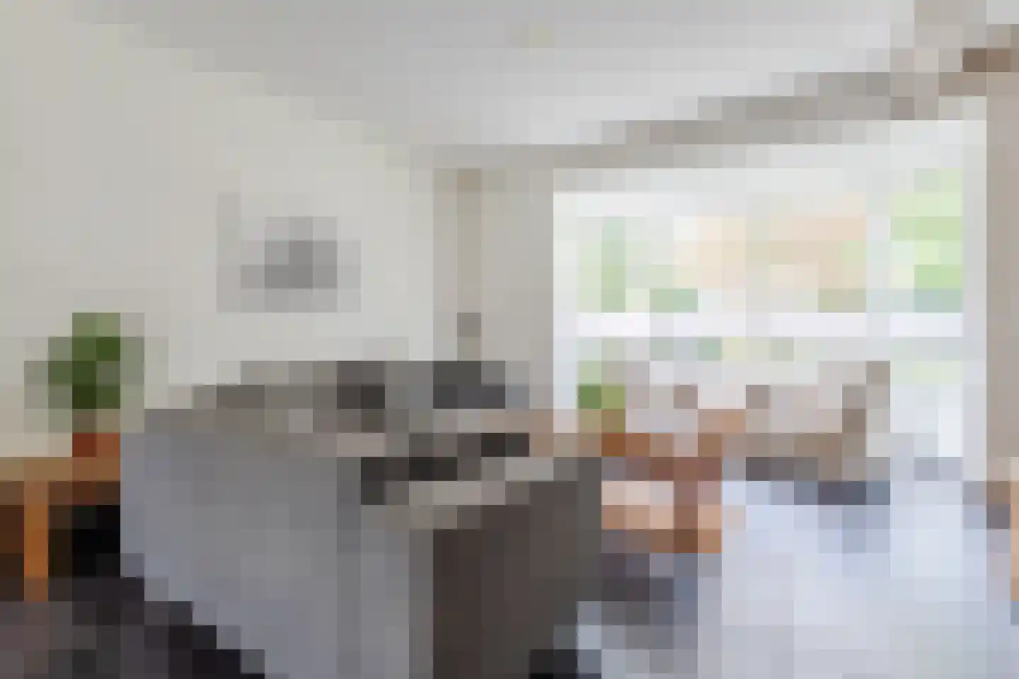 Tolschestraat 13 a Velp thumbnail 4