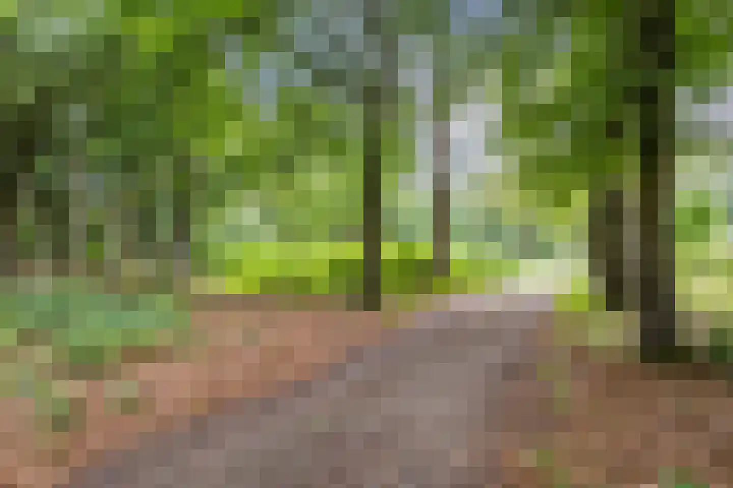 Tolschestraat 13 a Velp thumbnail 45
