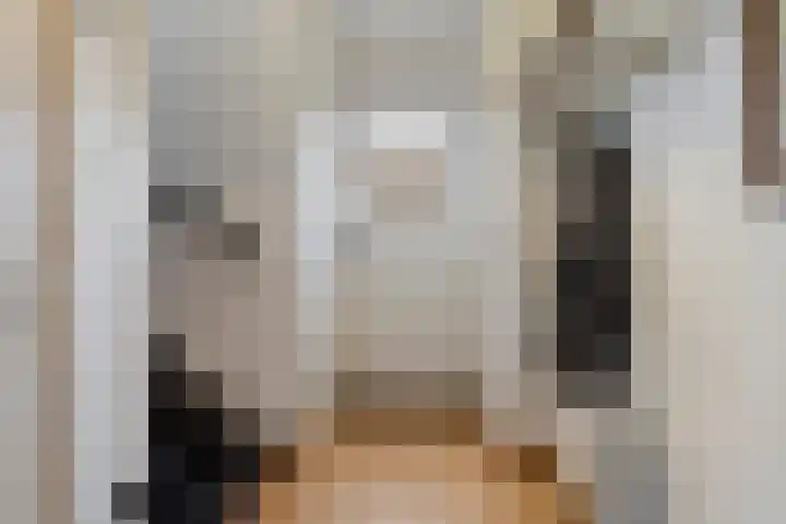 Tolschestraat 50 Velp thumbnail 11