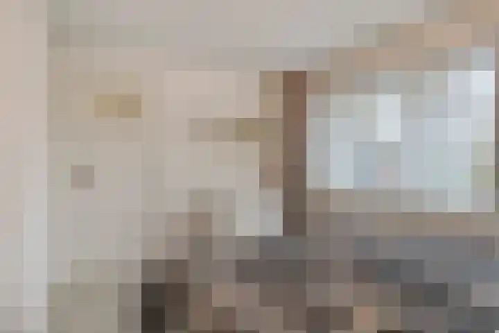 Tolschestraat 50 Velp thumbnail 14