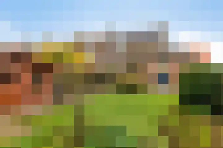 Tolschestraat 50 Velp thumbnail 19