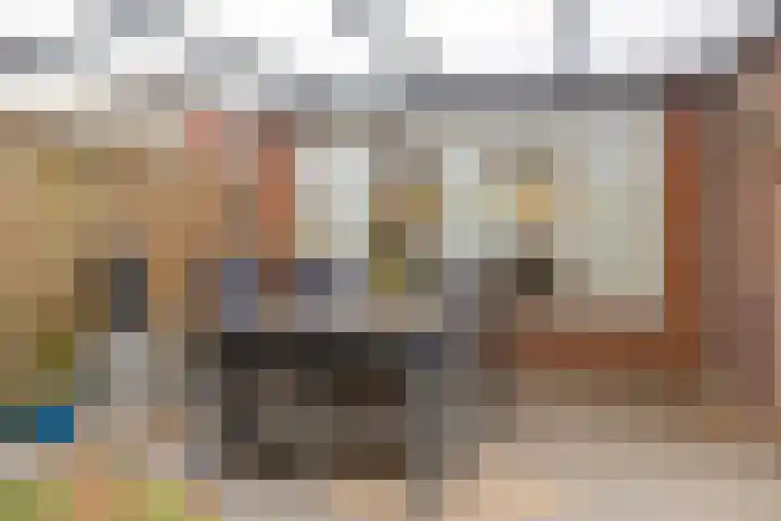 Tolschestraat 50 Velp thumbnail 22
