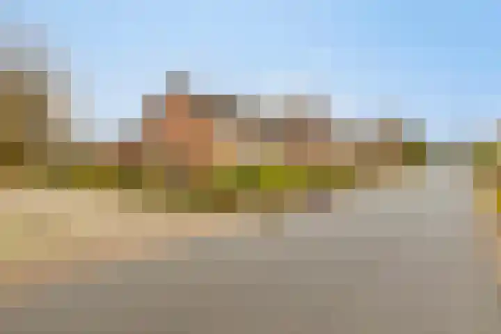 Tolschestraat 50 Velp thumbnail 24