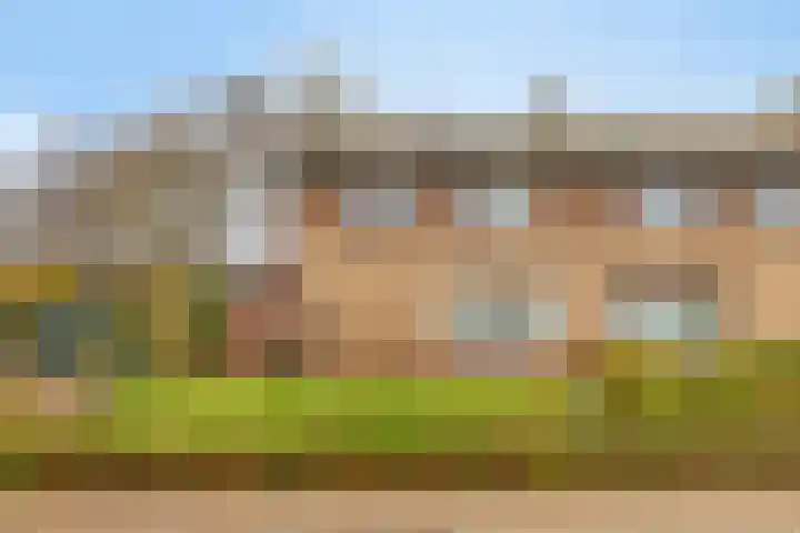 Tolschestraat 50 Velp thumbnail 26