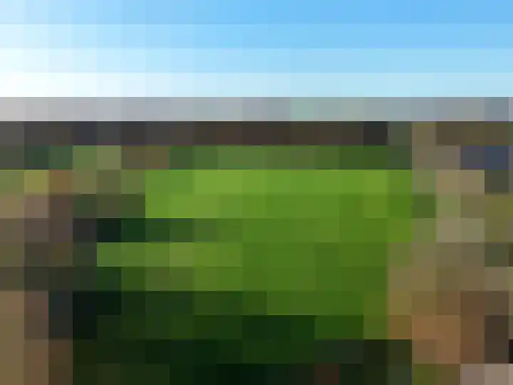 Tolschestraat 50 Velp thumbnail 27