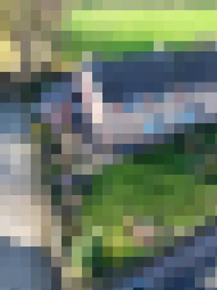 Tolschestraat 50 Velp thumbnail 28