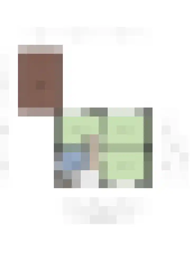 Tolschestraat 50 Velp thumbnail 31