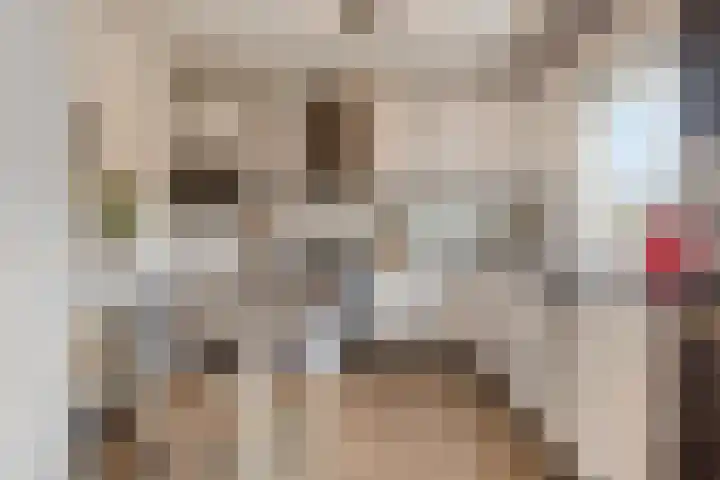Tolschestraat 50 Velp thumbnail 4