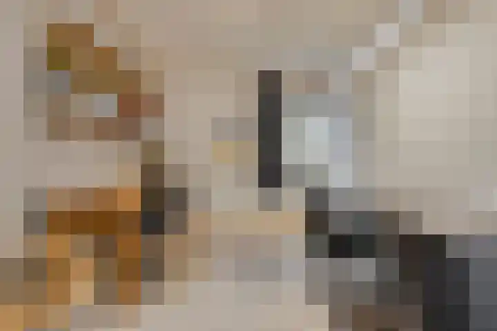Tolschestraat 50 Velp thumbnail 8