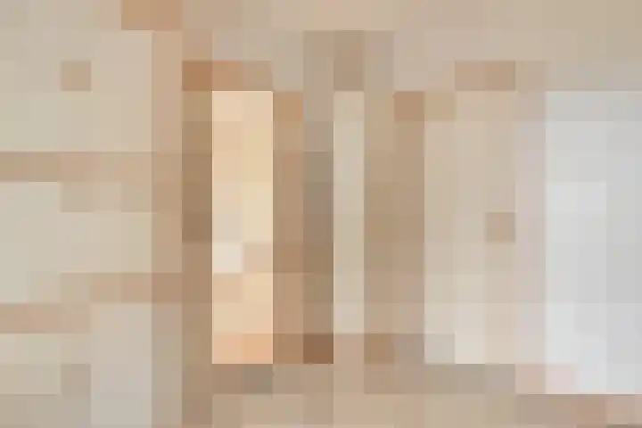 Tolschestraat 58 Velp thumbnail 12
