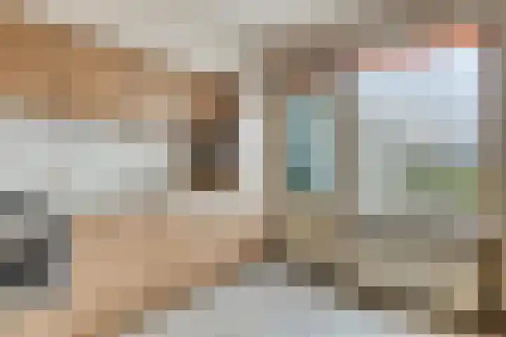 Tolschestraat 58 Velp thumbnail 13