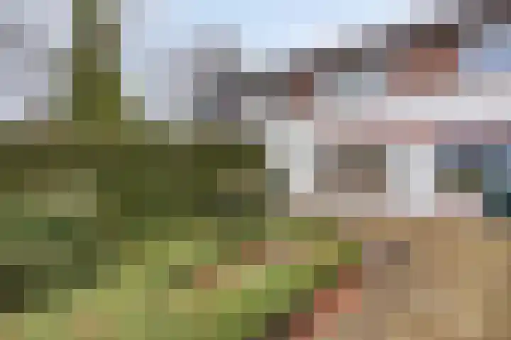 Tolschestraat 58 Velp thumbnail 16