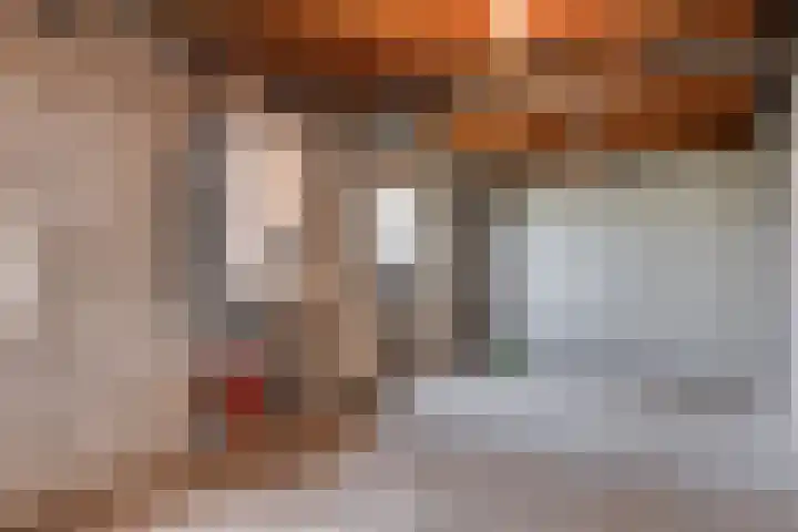 Tolschestraat 58 Velp thumbnail 21