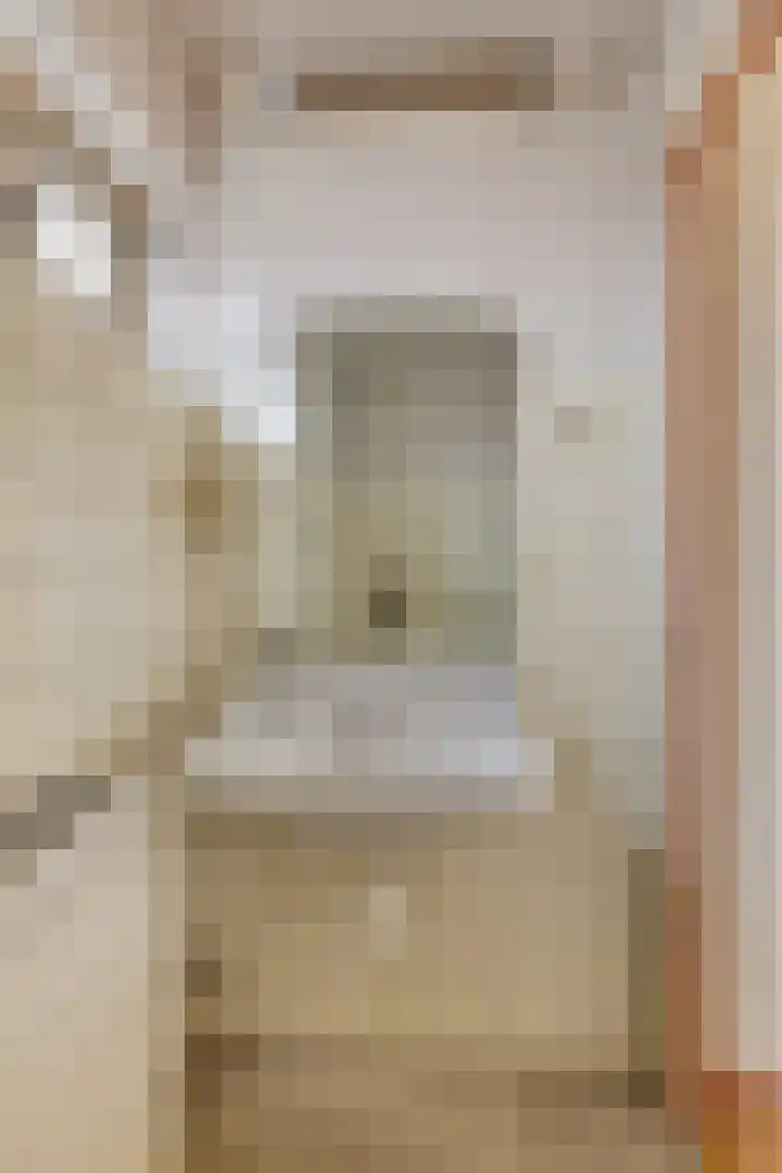 Tolschestraat 58 Velp thumbnail 27