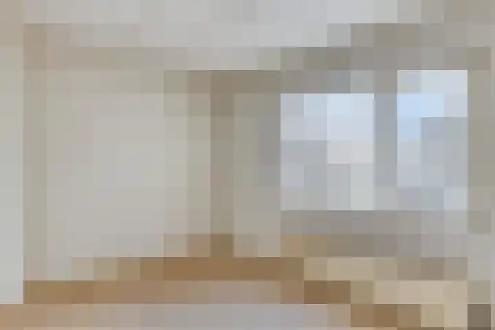 Tolschestraat 58 Velp thumbnail 29