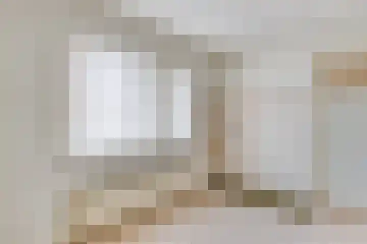 Tolschestraat 58 Velp thumbnail 30