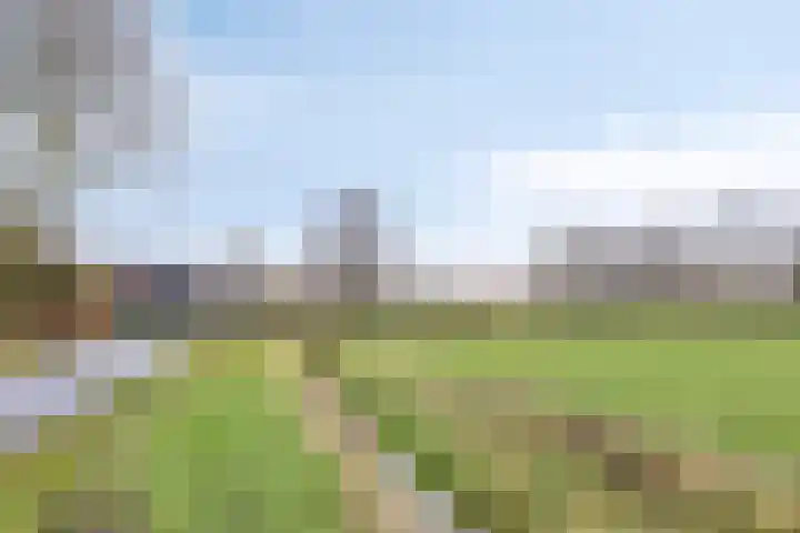 Tolschestraat 58 Velp thumbnail 32