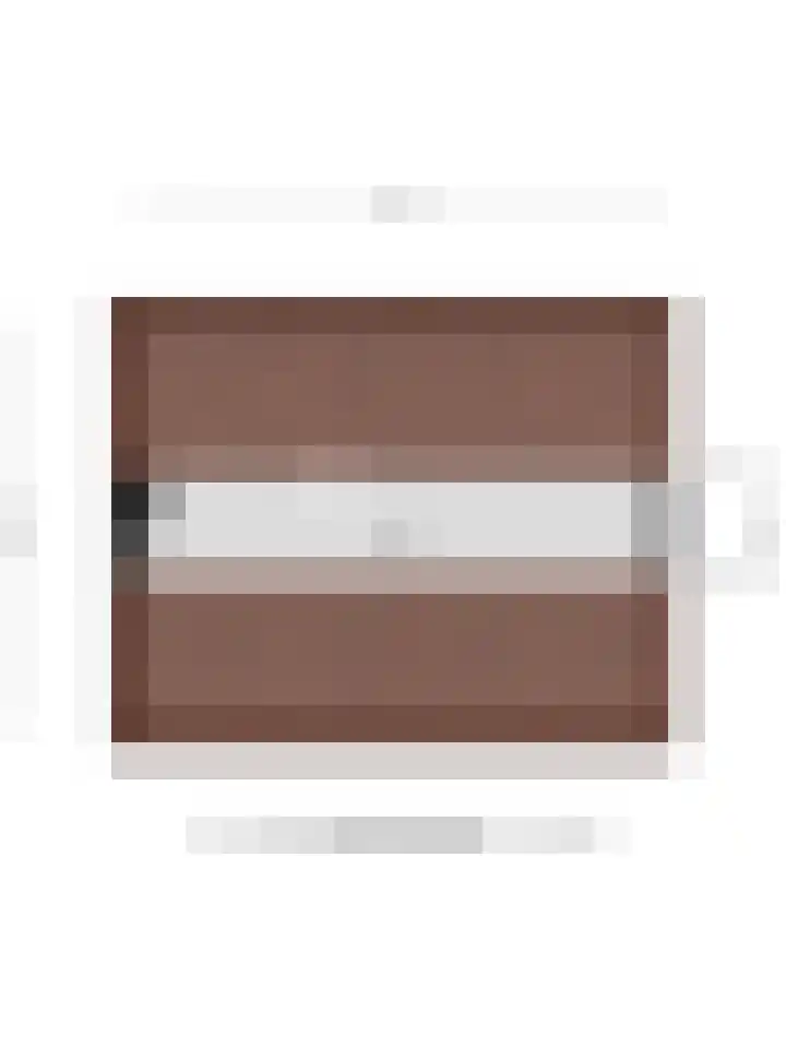 Tolschestraat 58 Velp thumbnail 36