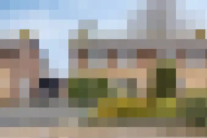Tolschestraat 58 Velp thumbnail 5