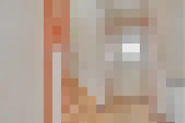 Tolschestraat 58 Velp thumbnail 7