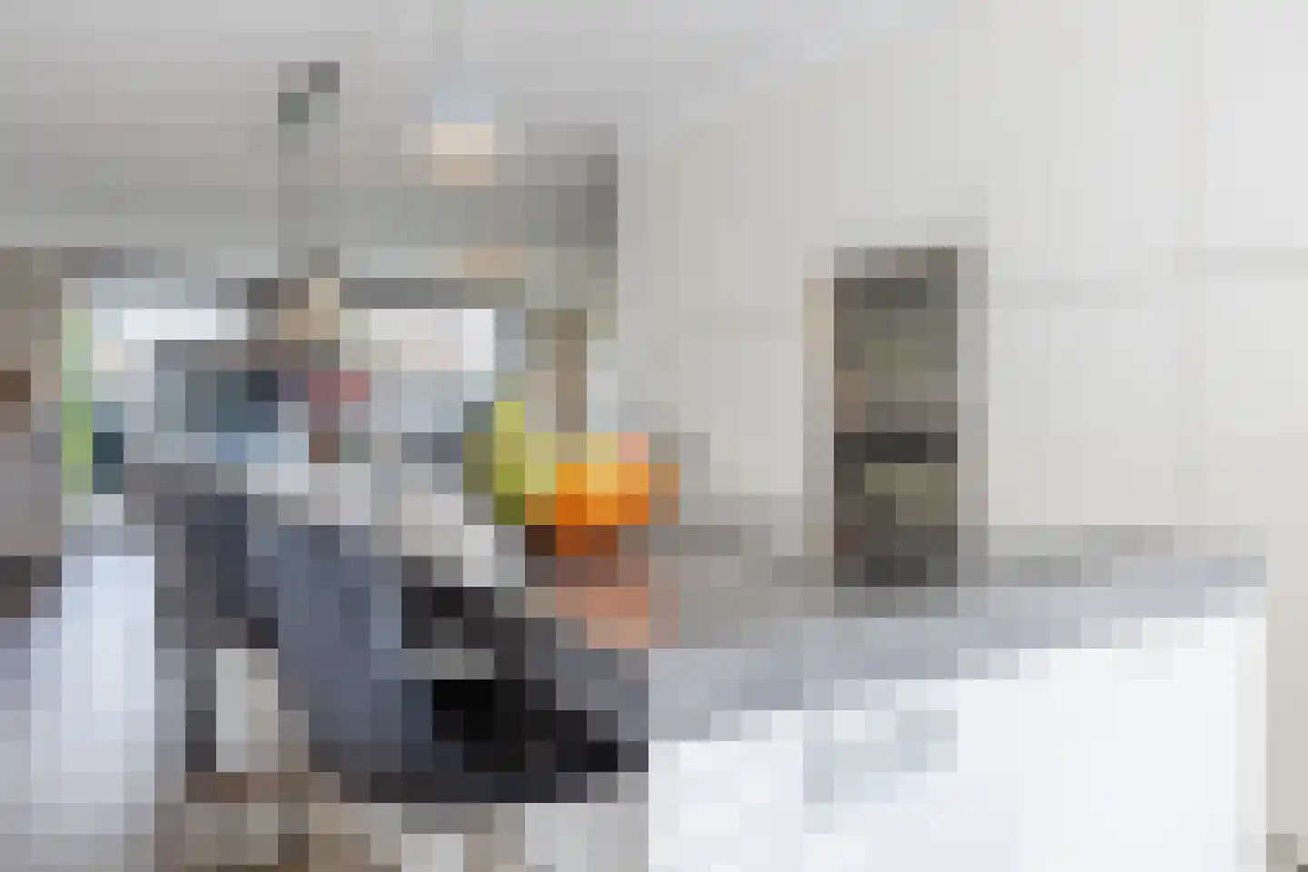 Tolseinde 17 Bergen op Zoom thumbnail 19