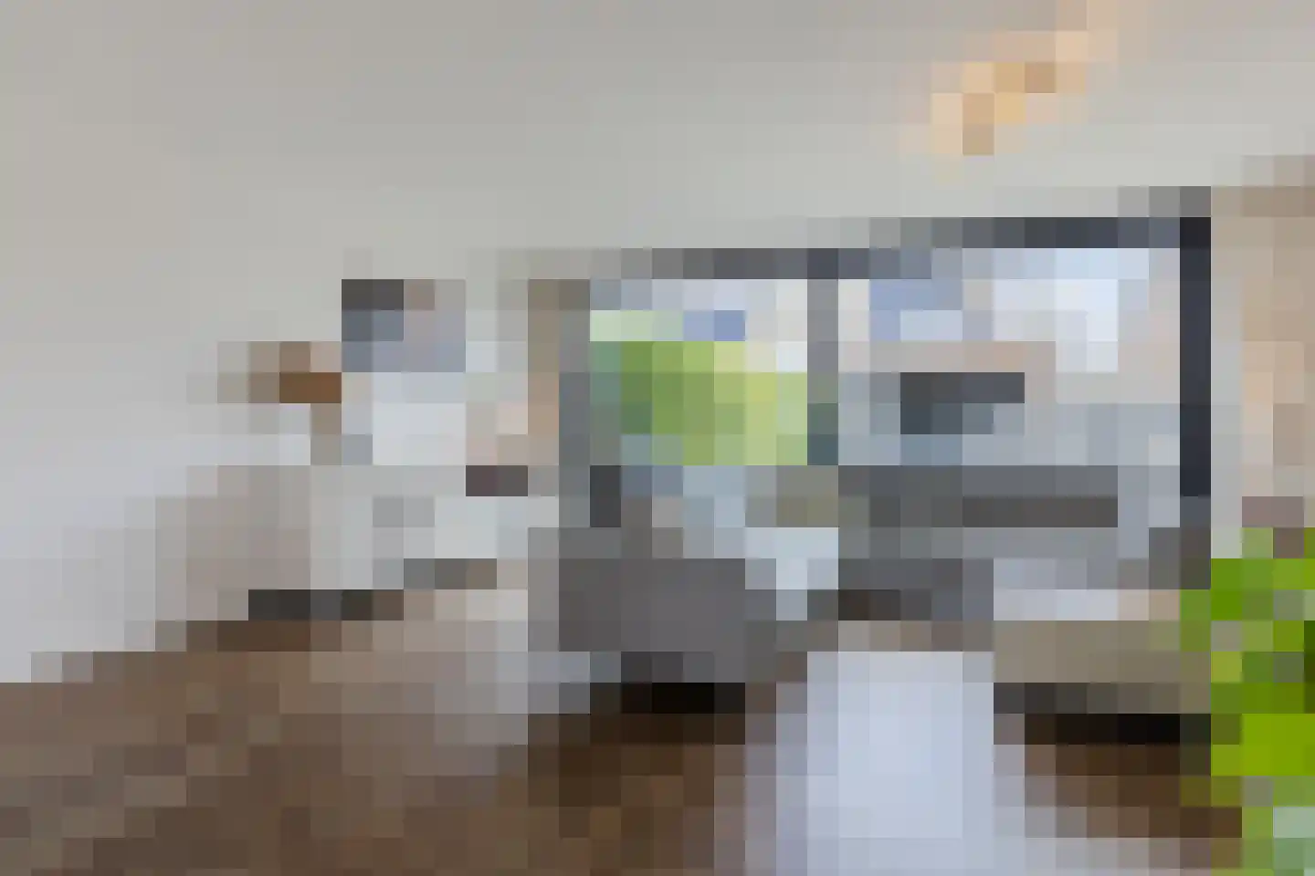 Tolseinde 17 Bergen op Zoom thumbnail 4