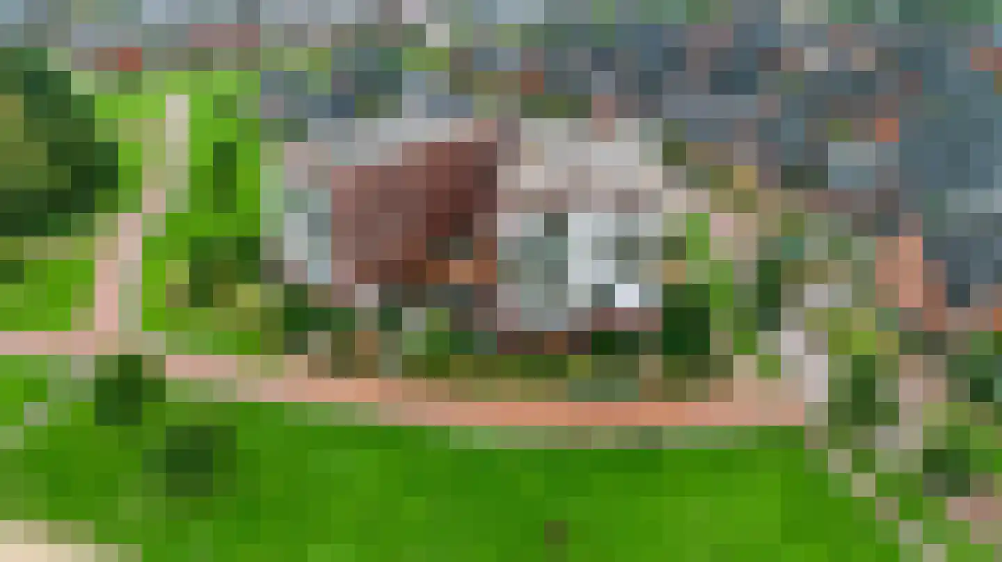 Tolsingel 11 Zevenaar thumbnail 40