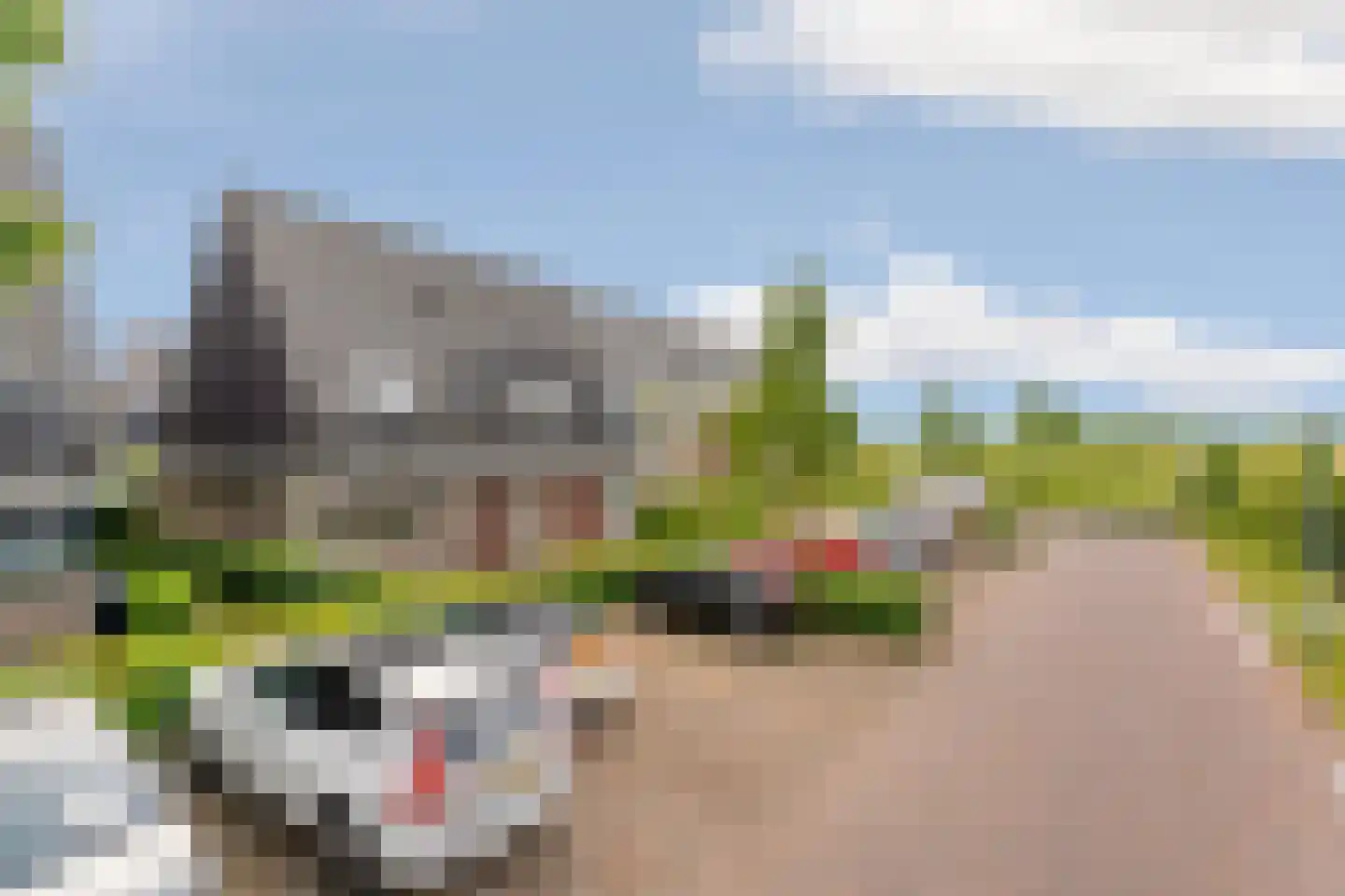 Tolsingel 138 Zevenaar thumbnail 42