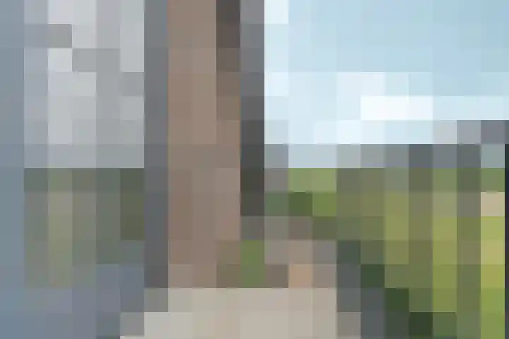 Tolsingel 145 Zevenaar thumbnail 42