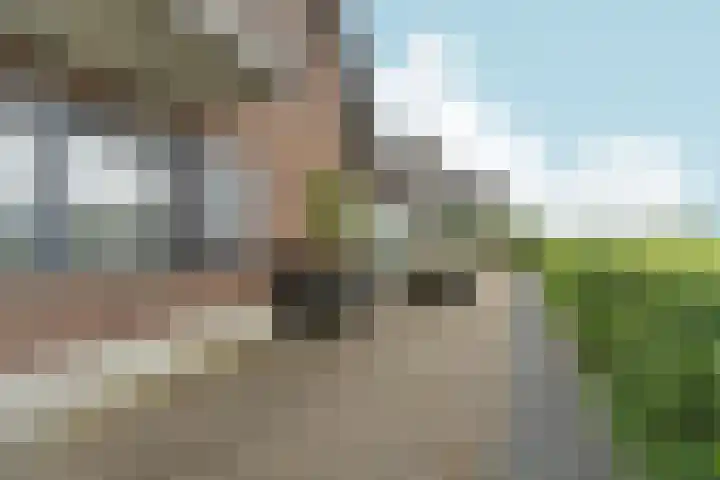 Tolsingel 145 Zevenaar thumbnail 60