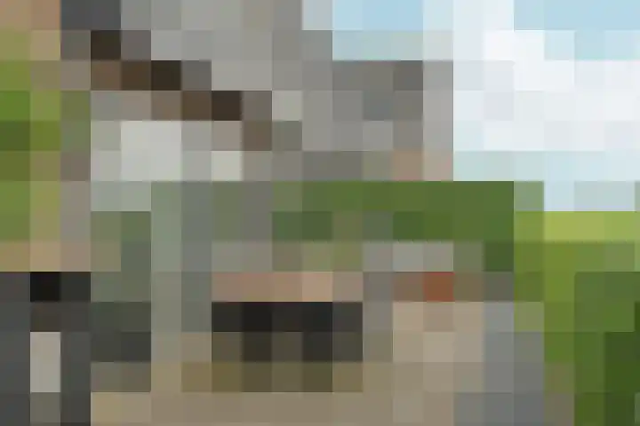 Tolsingel 145 Zevenaar thumbnail 61