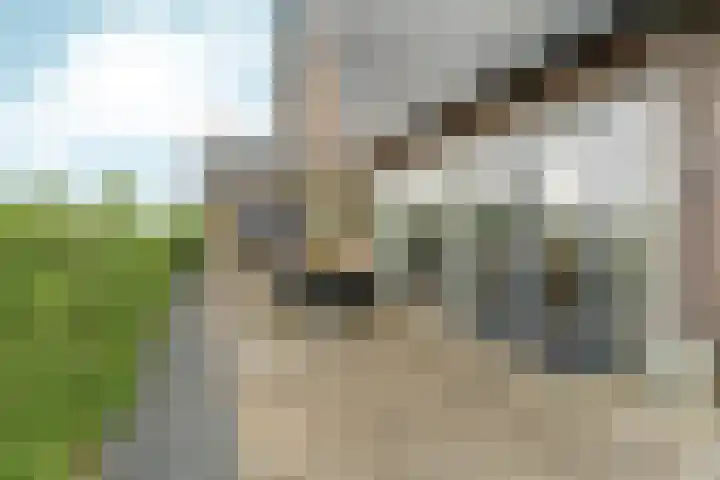 Tolsingel 145 Zevenaar thumbnail 64