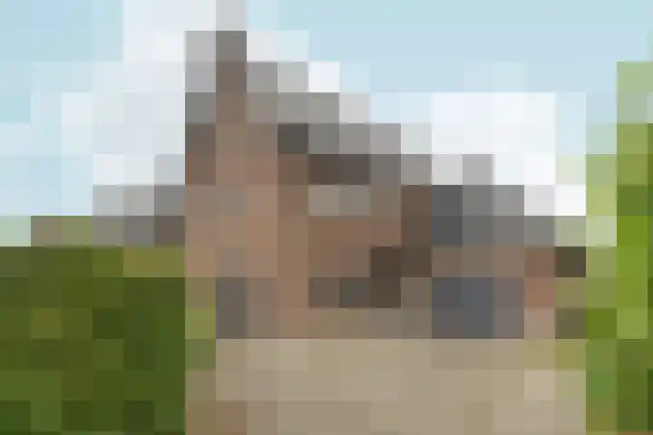 Tolsingel 145 Zevenaar thumbnail 7
