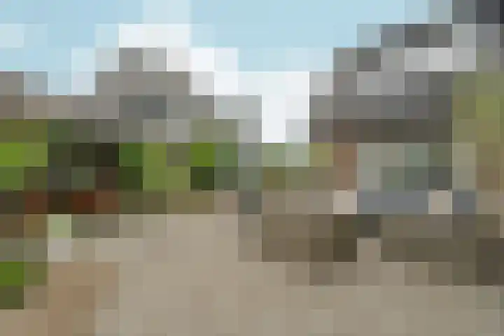 Tolsingel 145 Zevenaar thumbnail 70