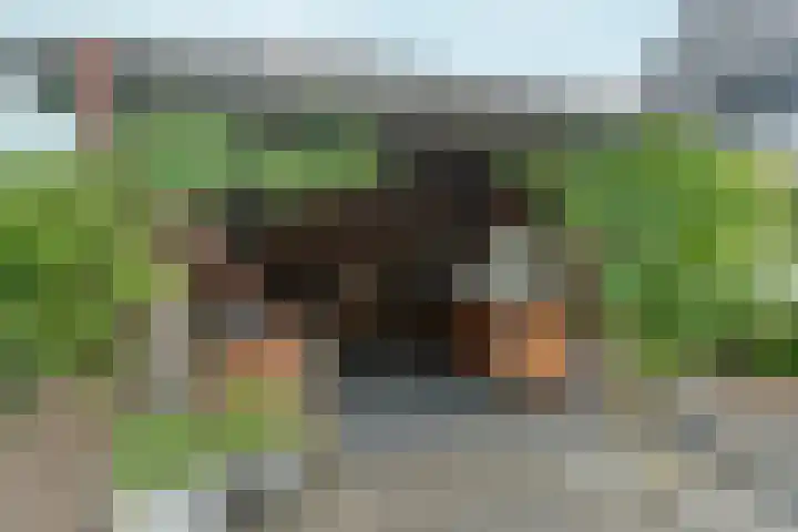Tolsingel 145 Zevenaar thumbnail 71