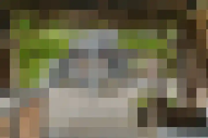 Tolsingel 145 Zevenaar thumbnail 72