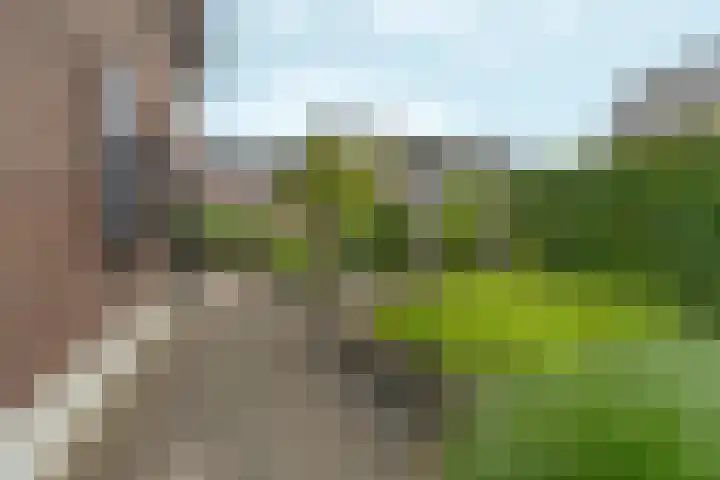 Tolsingel 145 Zevenaar thumbnail 74