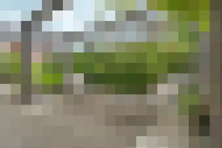 Tolsingel 145 Zevenaar thumbnail 75